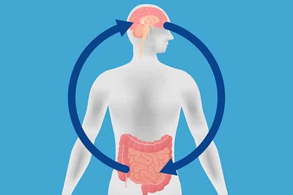 Center of Functional Medicine: Understanding the Brain-Gut Connection Center of Functional Medicine: Understanding the Brain-Gut Connection