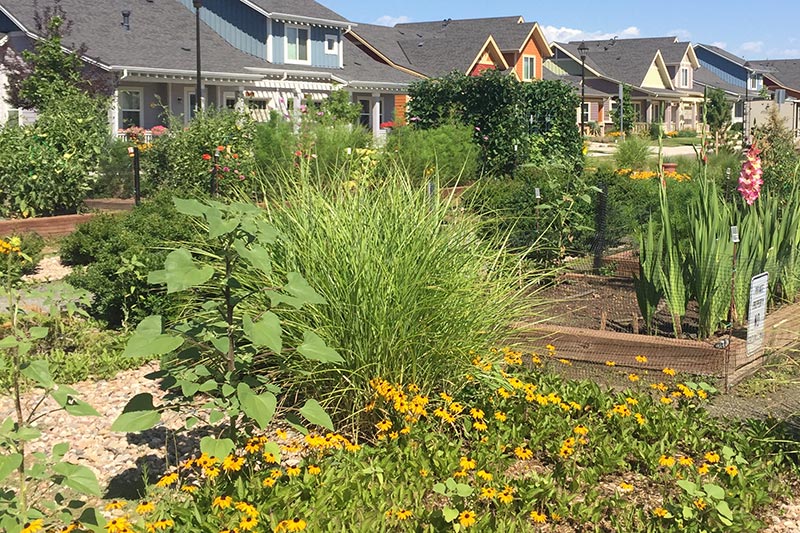 At The Avenues, Gardening for Health and Fitness is a Foundation of Independent Living