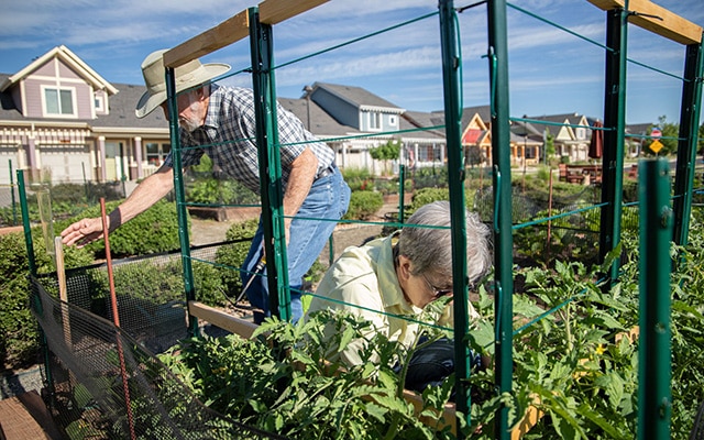 Community Garden